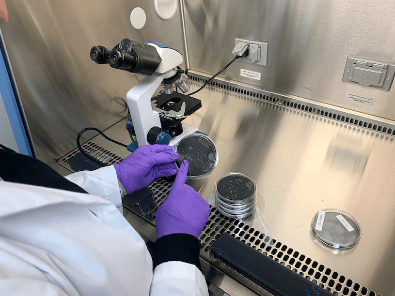 Laboratory Culture Environmental Testing